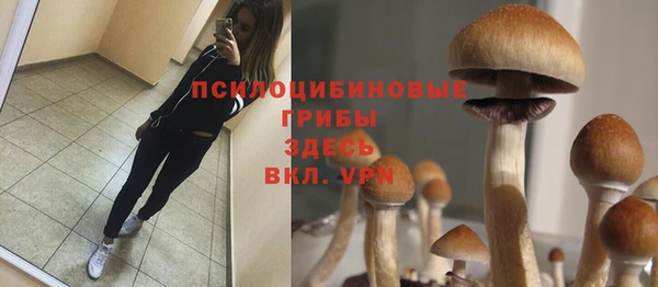 а пвп мука Губаха