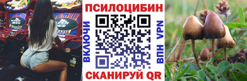 Псилоцибиновые грибы прущие грибы  сколько стоит  Заозёрный 